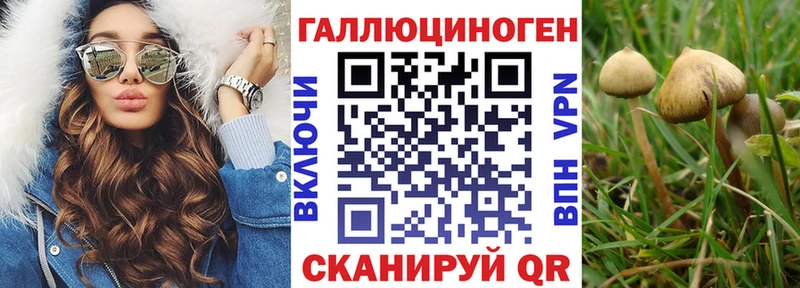Галлюциногенные грибы GOLDEN TEACHER  Гаджиево 