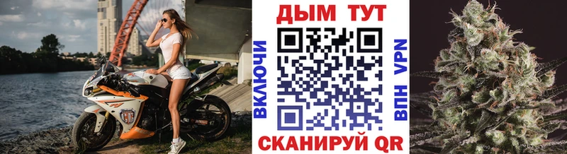 Конопля марихуана Гаджиево